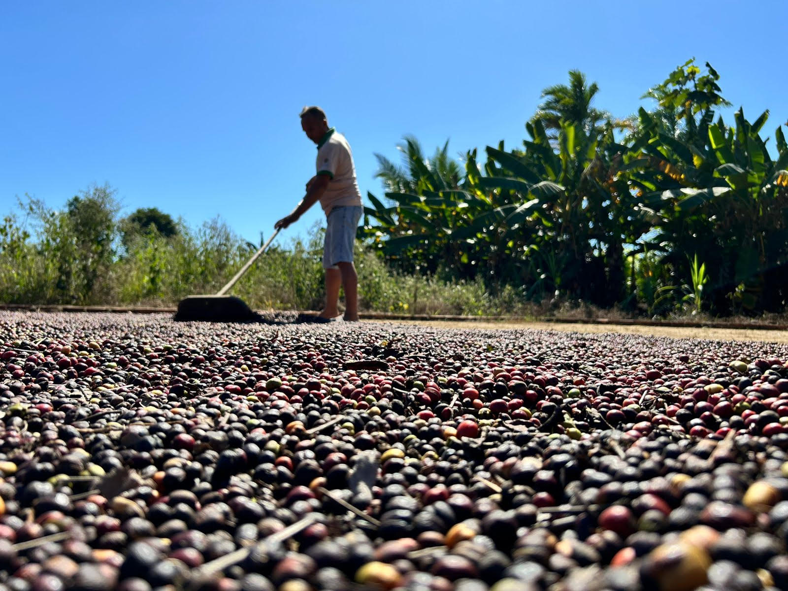 A nova estrutura reforça a capacidade do município de acompanhar indicadores ambientais e integrar políticas pública